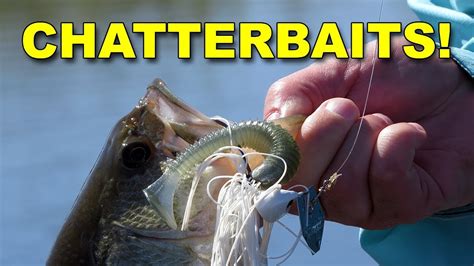 chatterbait app|How to Fish a ChatterBait